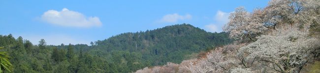 食道楽クラブ１号's header image