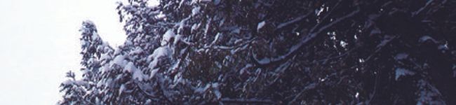び～（＾ω＾）'s header image