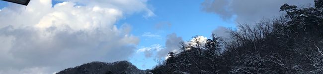 OHAAAAASHI's header image