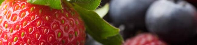 Nena346's header image