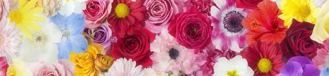 な～ぁ's header image