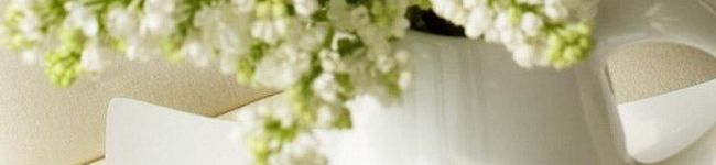 keim02's header image