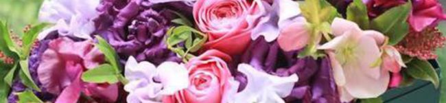 ボンズ's header image