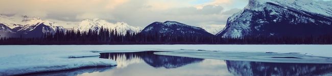 coloma's header image