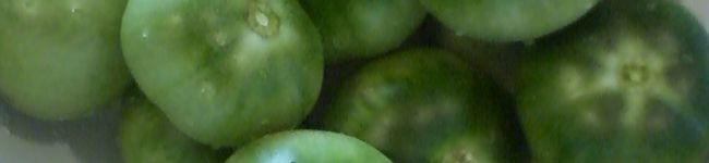 mineruva's header image