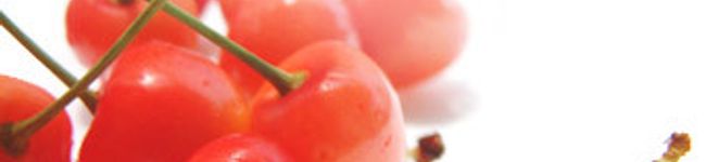 shokolat's header image