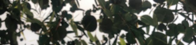 minana♪'s header image