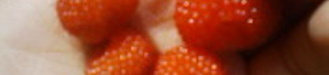 MOKO母's header image