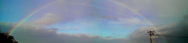 zumi_shi's header image