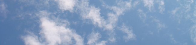 料理好きOL's header image