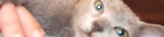 JUJU1019's header image