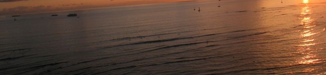 leopardxx's header image