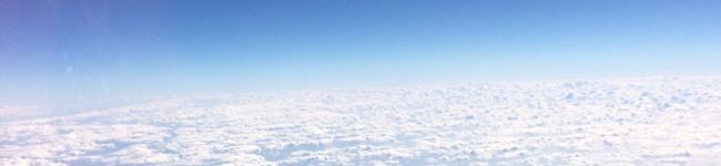 かぴぶぅ's header image