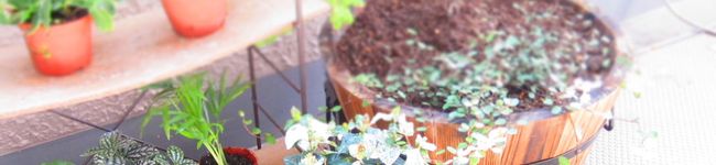 花0825's header image