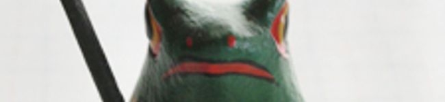 hazu's header image