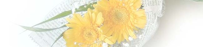 mikky3811's header image