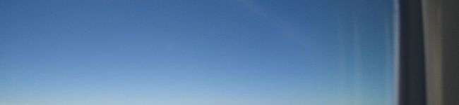 nagatoraree's header image