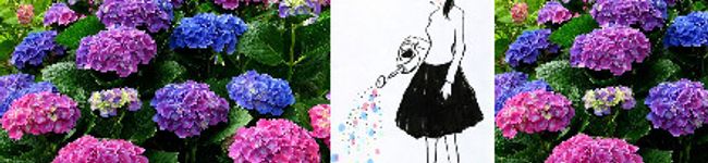 エリチョコ's header image