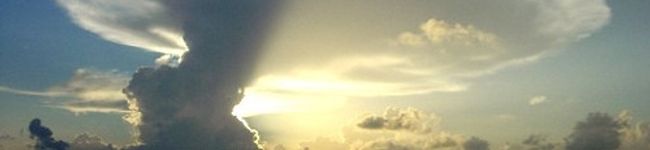 tylenol's header image