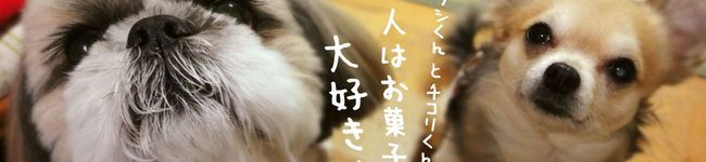 mag44num's header image
