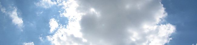 羊の毛糸's header image