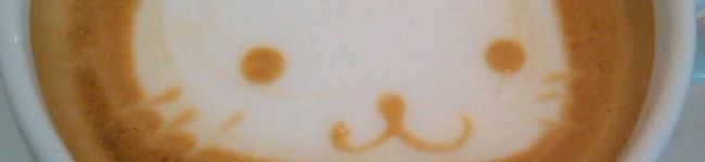 ロキねこ's header image