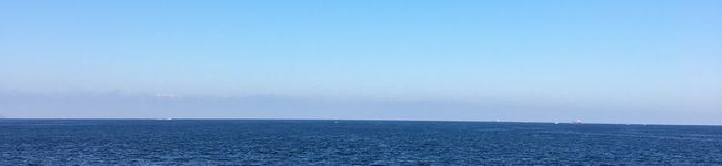 ユッカ's header image