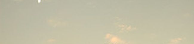 iwashi's header image