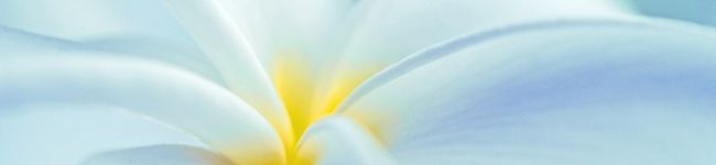 Blue-Island's header image