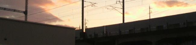 ぬぼく's header image