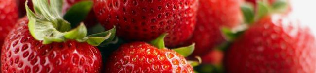 mdkyk's header image