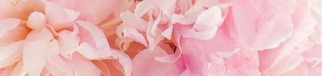 EMIKO216's header image