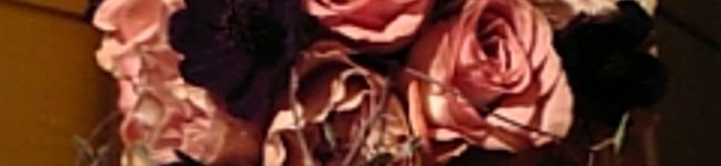 accoitto's header image