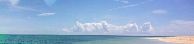 ＊ｍ。ｃｈａｎ＊'s header image