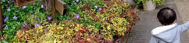 ｂｌｅｎｄａ．'s header image
