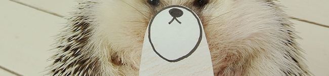 Daliy's header image
