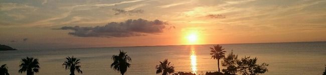 ＊moamama＊'s header image