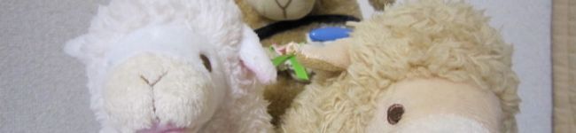 nyaaco's header image