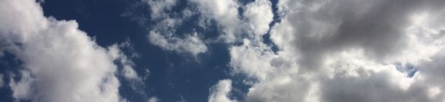 moht's header image