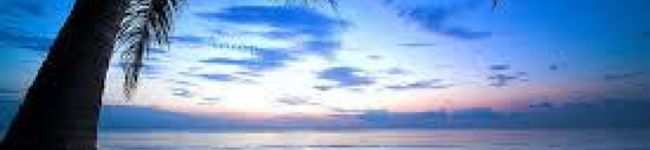 puq0221's header image