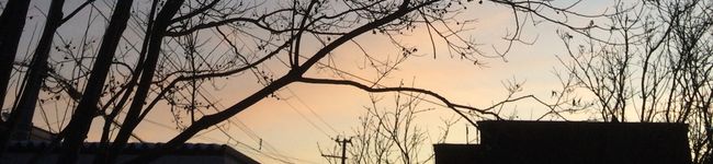 ikuko1010's header image