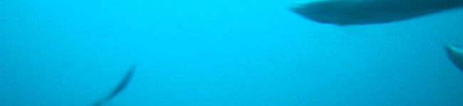 奥町純一's header image