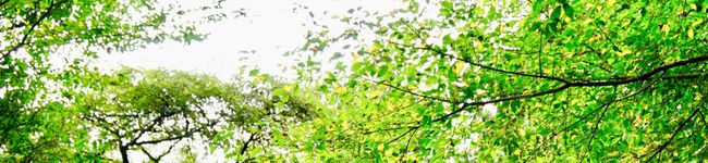 ☆aiken☆'s header image