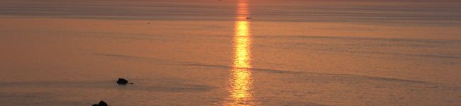 yousan416's header image