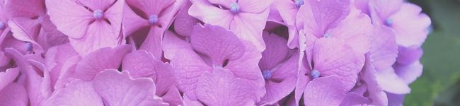 ぁゅゅ's header image