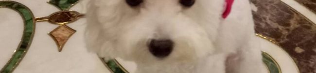 pagu095's header image