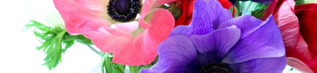 wlgslx's header image