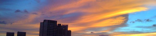 michelley's header image
