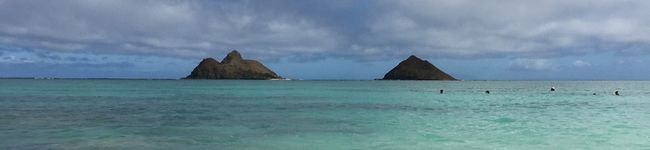 Mahalokk's header image