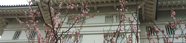 sato04's header image